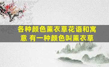 各种颜色薰衣草花语和寓意 有一种颜色叫薰衣草